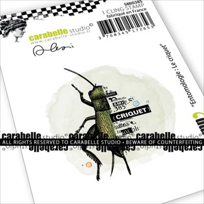 Tampon Mini : Entomologie : Le criquet by Alexi